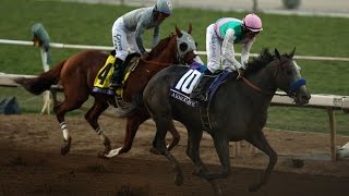 Arrogate wins the Breeders Cup Classic from California Chrome [upl. by Vargas537]