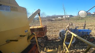 Unloading Corn on the Go [upl. by Stock]