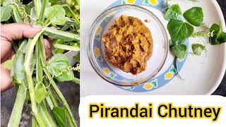 how to make pirandai chutney  pirandai chutney chutney recipes  pirandai Thuvaiyal recipe [upl. by Alo169]