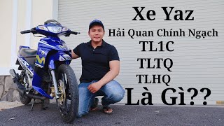 Xe 2 thì Hải Quan Chính Nghạch Với Thanh Lý Hải Quan Là Gì [upl. by Richman466]