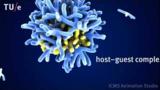 Dilution induced selfassembly of a dendrimer hostguest system [upl. by Woolley963]