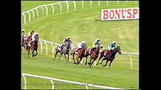 2002 Ashleybank Investments Future Champion Novices Chase [upl. by Chancellor918]