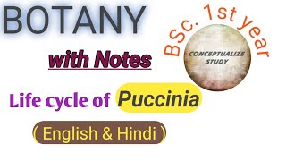 Life cycle of Puccinia graminis  BSc first year conceptualizestudy [upl. by Atwekk]