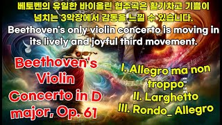 Beethovens Violin Concerto in D major Op 61 [upl. by Ansev]