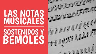 Aprende las Notas Musicales Do Re Mi ¿Qué son los Sostenidos y Bemoles [upl. by Zebulon]