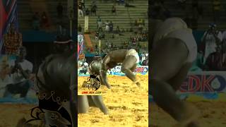 Bombardier vs eumeu séne combat royale 👑 shorts abonnés vous 🇸🇳 [upl. by Ybeloc563]