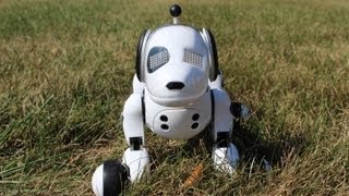 Zoomer The Interactive Robotic Dog Review [upl. by Enitsuga]