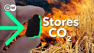 Biochar How burning stubble could FIGHT air pollution [upl. by Ford892]