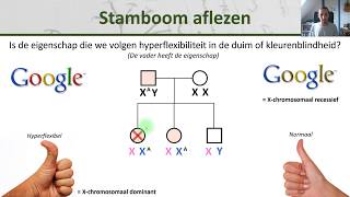 Bio  Stambomen  Maken en aflezen  Erfelijkheid 5 [upl. by Nilkoorb]