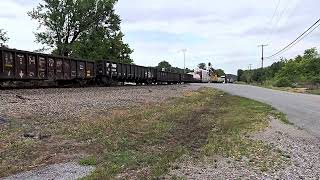 NS 172 with a friendly conductor [upl. by Lynette]