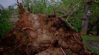 Hurricane Beryl footage in Petersfield Westmoreland [upl. by Compte]