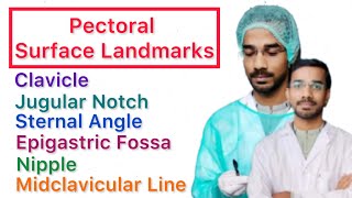 Pectoral Surface Landmark  Clavicle  Jugular Notch  Sternal Angle  Epigastric Fossa  Nipple [upl. by Aramoix109]