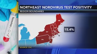 Contagious stomach bug circulating in the Northeast  Know the symptoms [upl. by Yelsnia747]