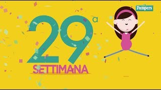 29° settimana di gravidanza [upl. by Avelin]