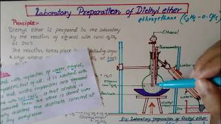 Laboratory Preparation of diethyl EtherEthoxyethane [upl. by Hootman]