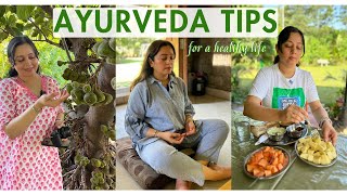 AYURVEDA tips for daily life from an Ayurvedic DOCTOR  Health tips for women [upl. by Engis]