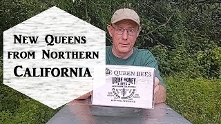 New Queens from Northern California [upl. by Ilecara171]