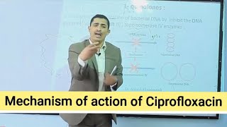 Mechanism of action of Quinolines آلية عمل فلوروكيونيلونز [upl. by Vigor426]