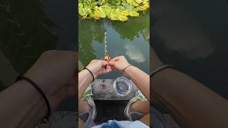 Tinyfishingmicro lure rod for “big”fish microfishing minirod pescador pescar fypシ゚ [upl. by Fedirko]