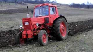 MTZ80 plowing [upl. by Lammaj]