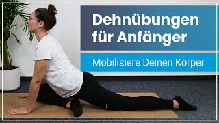 Dehnübungen für Anfänger ➡️ 15 Minuten Stretching von Kopf bis Fuß [upl. by Ploch]