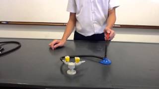 Steps to light a bunsen burner [upl. by Garrett116]