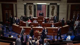 South Carolina Congressmen react to Democrats taking control of the US House [upl. by Levesque]