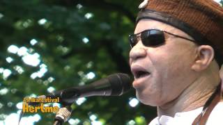 Salif Keita Natty 1 [upl. by Anitnauq]