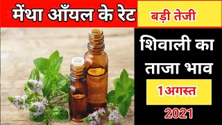 मेंथा आँयल के रेट में उछाल  Mentha Oil Rate  Mentha Oil Rate Today [upl. by Elwira]