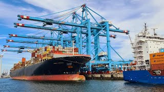 Biggest port of Europe  Rotterdam  Maasvlakte 2 on the FutureLand Ferry  Beleef Maasvlakte 2 🚢 [upl. by Alger]