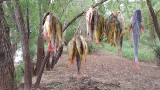 terrible la pesca en sauce viejo Santa fécachorrodoradoboga y más [upl. by Anyotal]