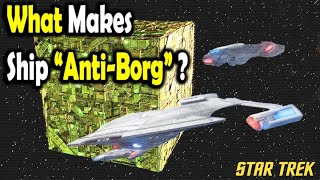 What makes a Starfleet Ship quotAntiBorgquot  Star Trek [upl. by Nnaer289]