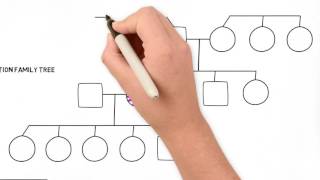 How to Draw a Family Tree  Part 2 Advanced [upl. by Nehte295]