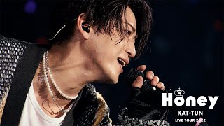 KATTUN  ハルカナ約束 Official Live Video [upl. by Hiasi]