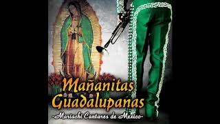 📀 Mañanitas Guadalupanas Disco Completo Mariachi Cantares De Mexico 📀 [upl. by Kiona772]