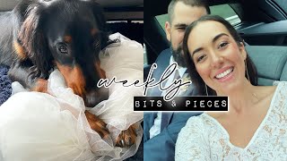 After wedding Vlog I Beo hat meinen Schleier gefressen [upl. by Ardnot]