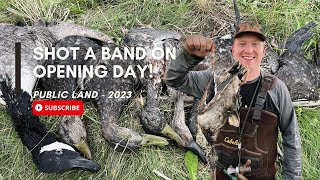 SHOT A BANDED DUCK ON OPENING DAY  Duck Hunting 2023  Nova Scotia [upl. by Akinehs]