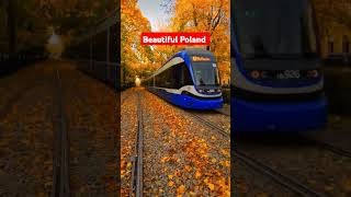 poland livinginpoland polanddiaries travel [upl. by Torre552]