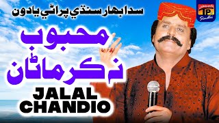 Mehboob Na Kar Maana  Jalal Chandio Raja Rani Jay Dialog Saan Gad  TP Sindhi [upl. by Wadlinger]