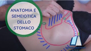 STOMACO  SEMEIOTICA E ANATOMIA PALPATORIA [upl. by Nohsed129]