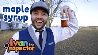 Ivan Inspects Maple Syrup  Fun and Educational Videos For Kids [upl. by Castera]