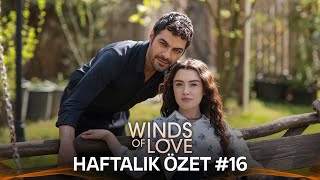 Winds of Love Weekly Summary 16  Rüzgarlı Tepe Haftalık Kolaj 16 [upl. by Girand44]