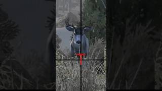 How gaming cabelas deerhunting gamingshorts hunters hunterslife hunting funny [upl. by Aranaj]