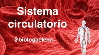 Sistema Circulatorio  Conceptos generales  Biología [upl. by Yentyrb66]