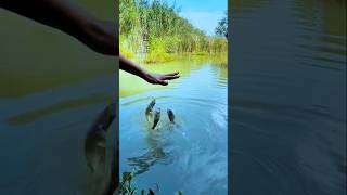 Best hand fishing video fishing twolessfishinthesea fish [upl. by Dianemarie425]