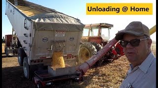 quotIt Eats the Grainquot Unloading 1000 Bushel of Corn into Grain Bin Corn Harvest [upl. by Hgierb]