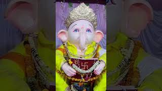 బాల గణేష్  తాడిపత్రి 2024 balaganesh tadipatri ganeshchaturthi [upl. by Ailev305]