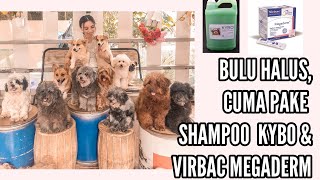 PERAWATAN BULU ANJING TERMURAH  REVIEW KYBO SHAMPO ANJING VIRBAC MEGADERM NUTRIPLUSGEL DERMASEP [upl. by Anitsrik553]