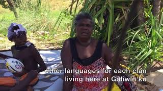 Yolŋu families with MJD [upl. by Ettenrahc]