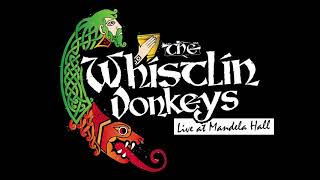 The Whistlin Donkeys  Grace  LIVE at Mandela Hall [upl. by Rayna]